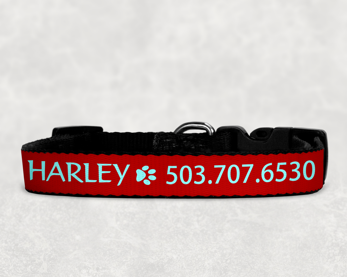 Custom Dog Collars  ~ Easy ID with Colorful Custom Collars with your Dog's Name and Info