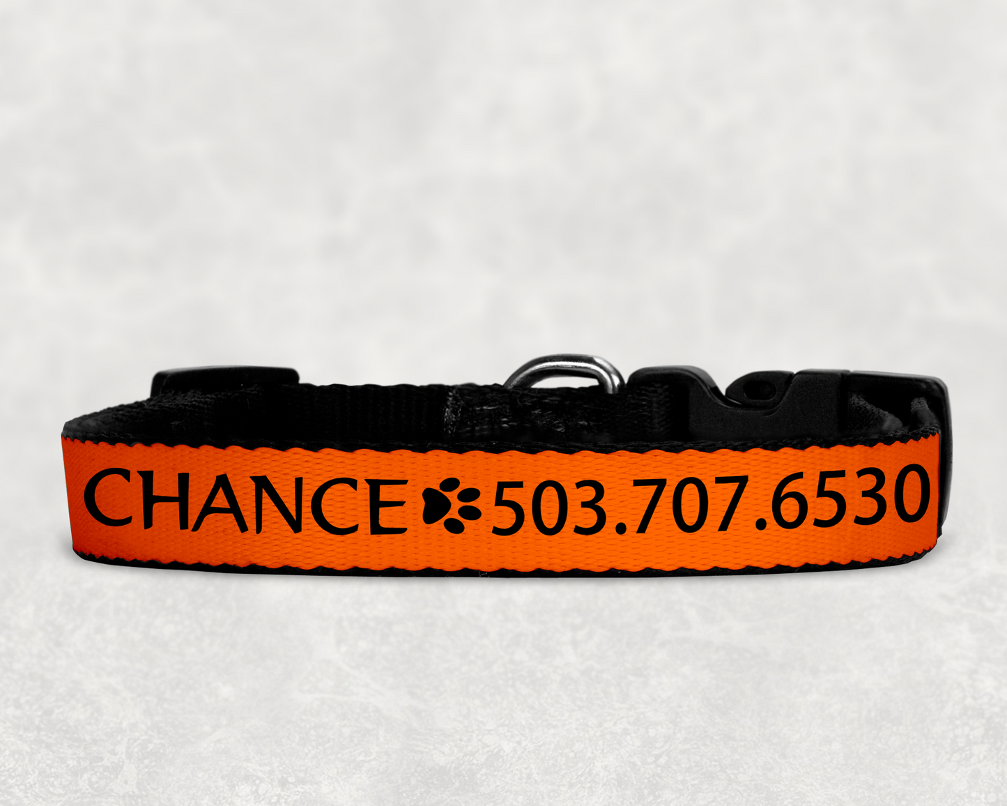 Custom Dog Collars  ~ Easy ID with Colorful Custom Collars with your Dog's Name and Info