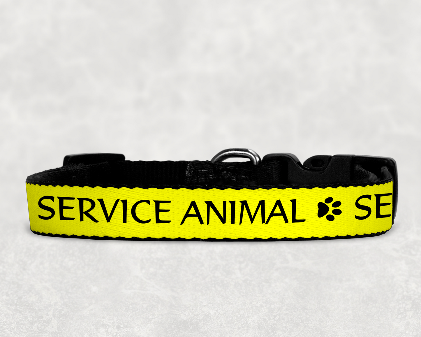 Custom Dog Collars & Leashes with Easy ID ~ Full Color + Customized with your Dog's Name and Information for Quick ID!