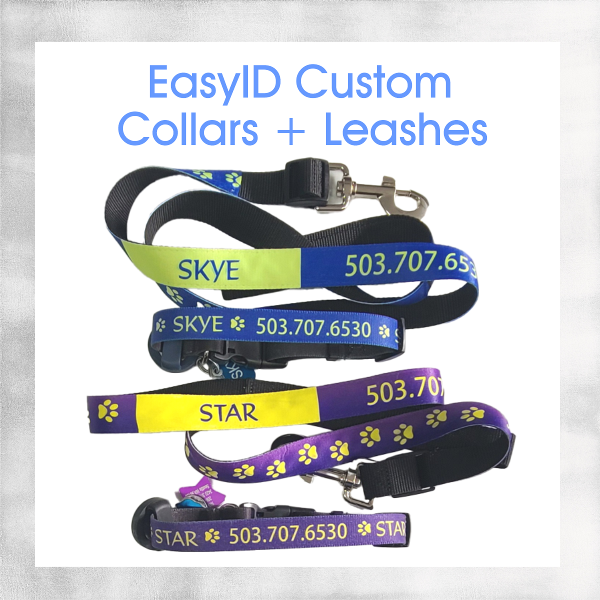 Custom Dog Collars & Leashes with Easy ID ~ Full Color + Customized with your Dog's Name and Information for Quick ID!