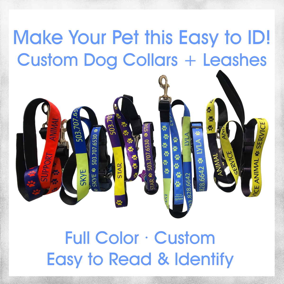 Custom Dog Collars & Leashes with Easy ID ~ Full Color + Customized with your Dog's Name and Information for Quick ID!