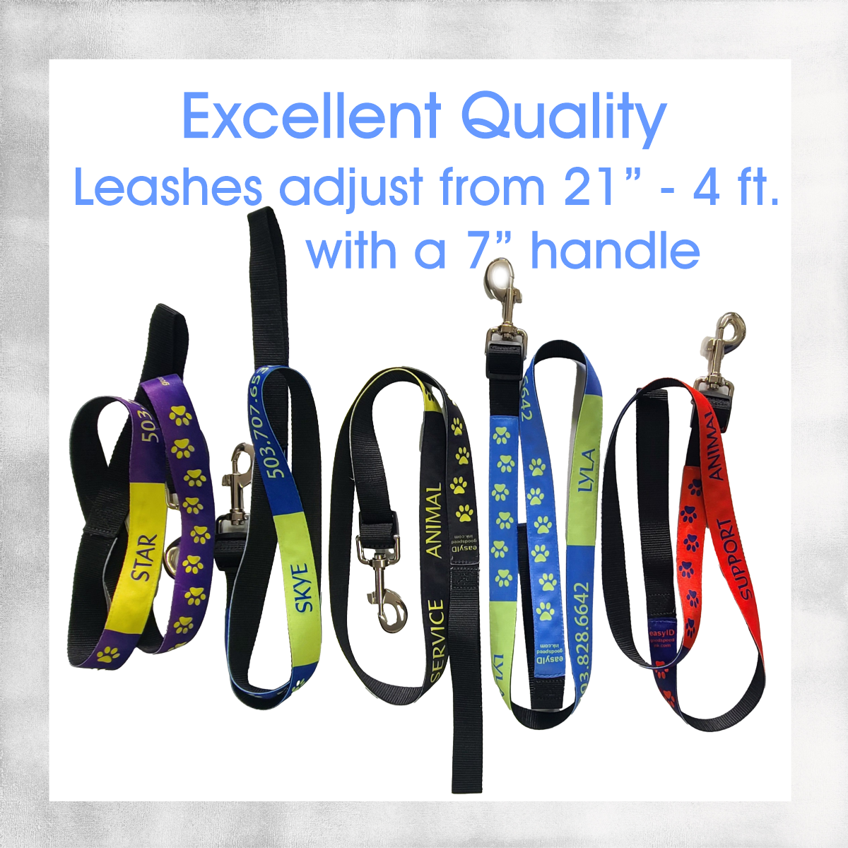 Custom Dog Collars & Leashes with Easy ID ~ Full Color + Customized with your Dog's Name and Information for Quick ID!