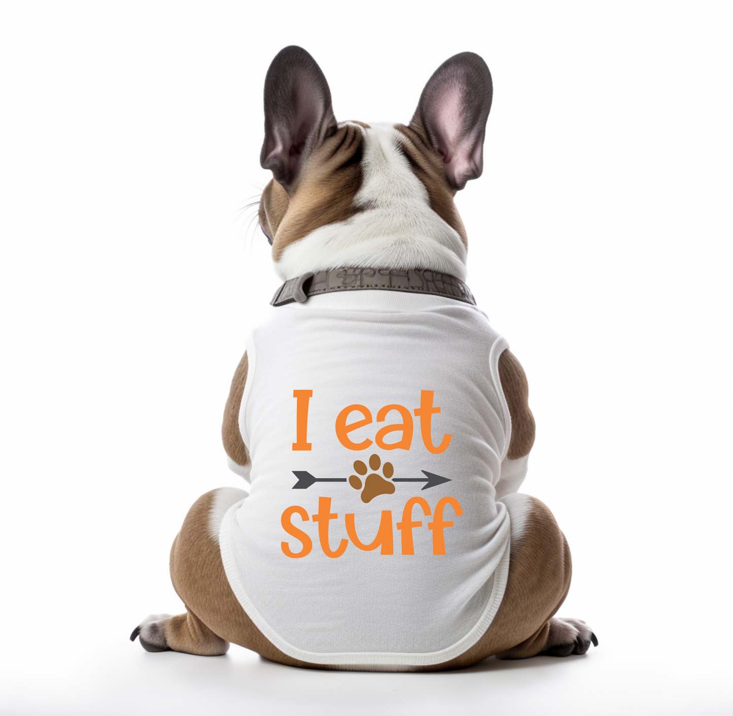 Strut-Worthy + Fun Dog Tanks for Your Favorite Pet!