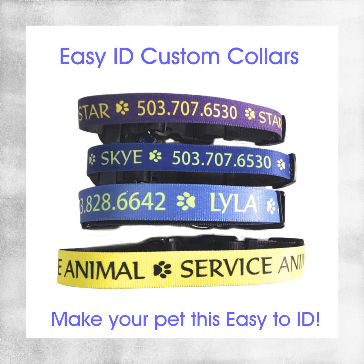 Custom Dog Collars  ~ Easy ID with Colorful Custom Collars with your Dog's Name and Info