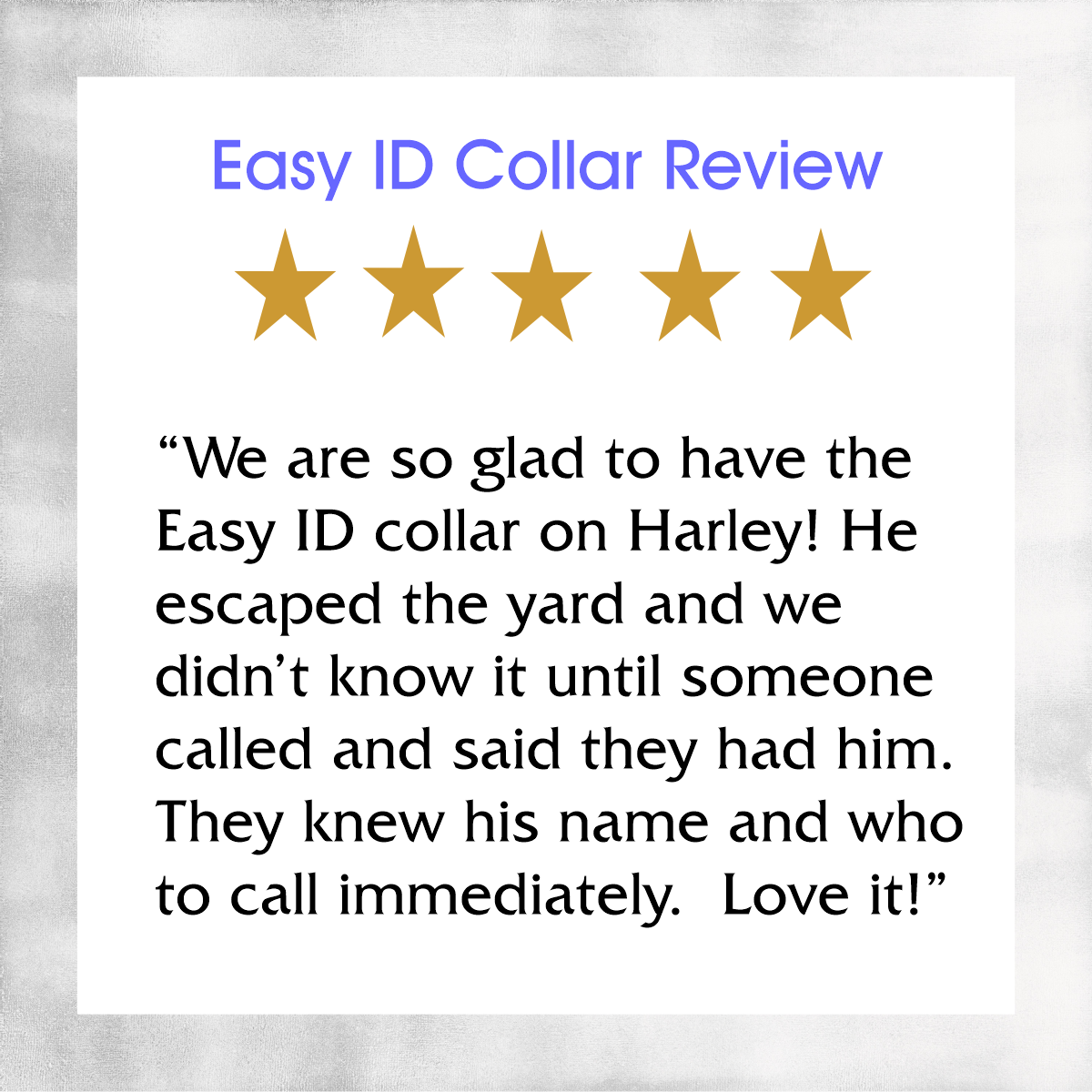 Custom Dog Collars  ~ Easy ID with Colorful Custom Collars with your Dog's Name and Info