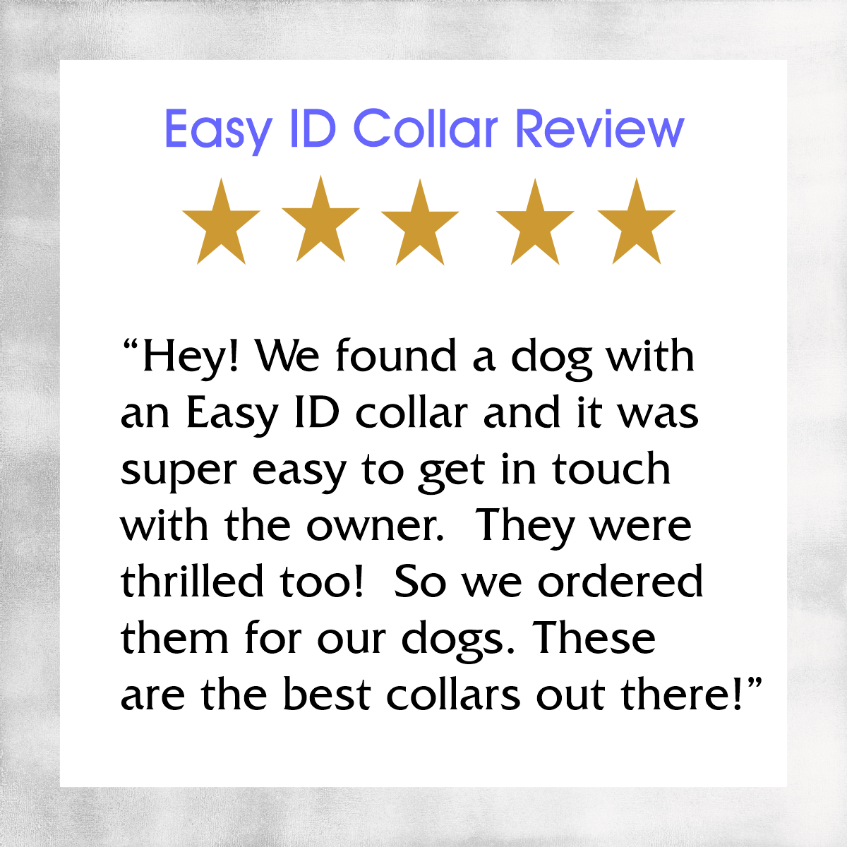 Custom Dog Collars  ~ Easy ID with Colorful Custom Collars with your Dog's Name and Info