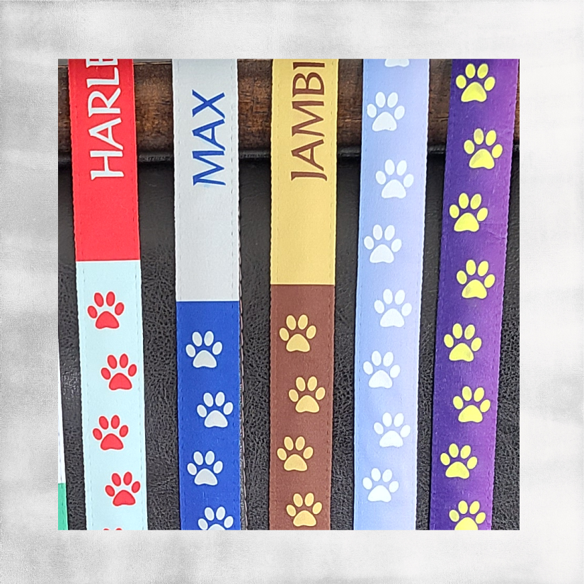 Custom Dog Collars & Leashes with Easy ID ~ Full Color + Customized with your Dog's Name and Information for Quick ID!